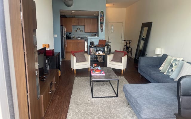 Gorgeous room in culture filled artdeco apartment in the Arts District