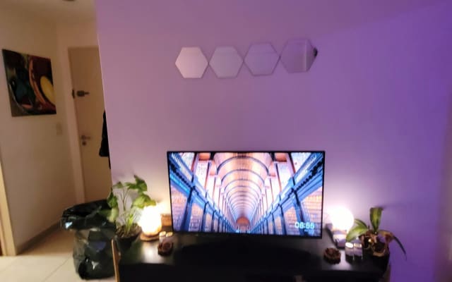 shared apartment - copy 02