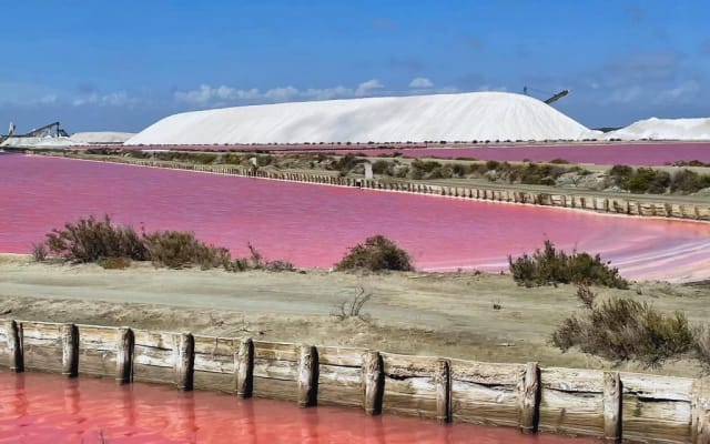 L'annuncio di Jean Mi su misterb&b - Les salins d’Aigues mortes 