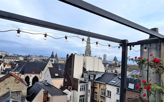 Au centre-ville avec terrasse sur le toit avec vue incroyable!