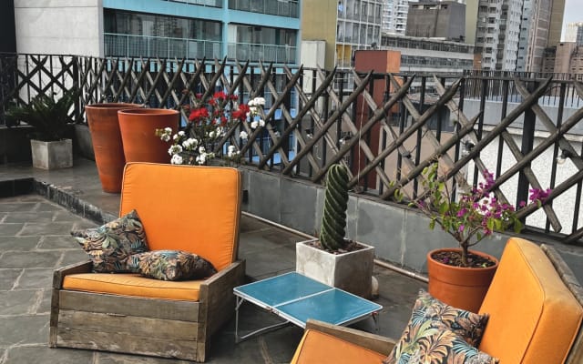 Beautiful, spacious garden in the center of São Paulo. Private room. - Picture 9