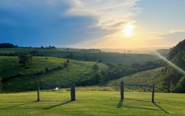 Bellezza nera a Richmond Hill