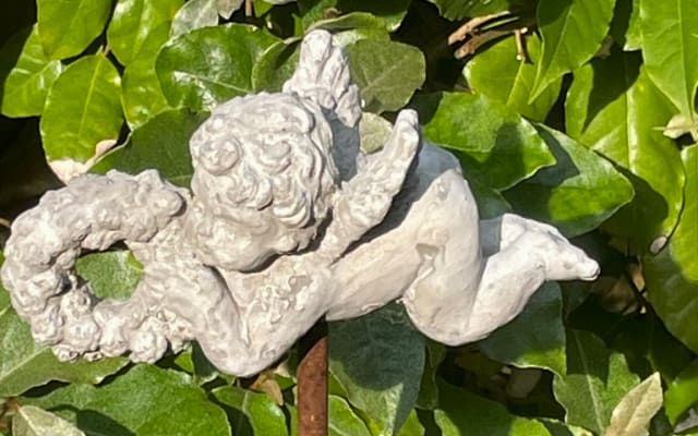 L'annuncio di Martin su misterb&b - Silent garden