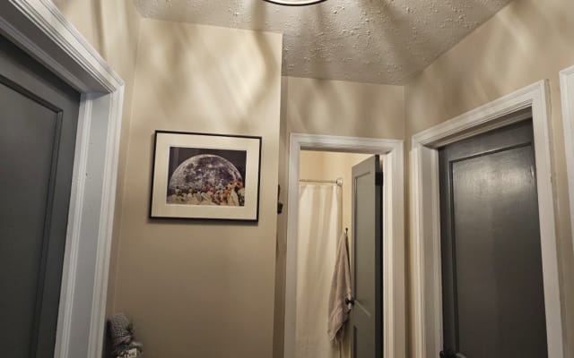 Jonathans Inserat auf misterb&b - hallway and bathroom (I'm afraid the bathroom is small... a compromise I made when I bought the house)