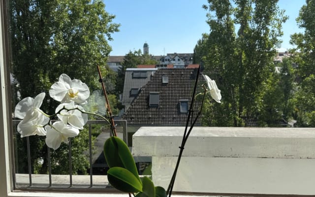 Cozy apt near BMW/Olympiapark - direct connection to Adele concert