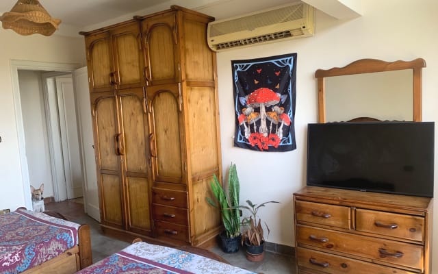 Apartamento acolhedor e solarengo