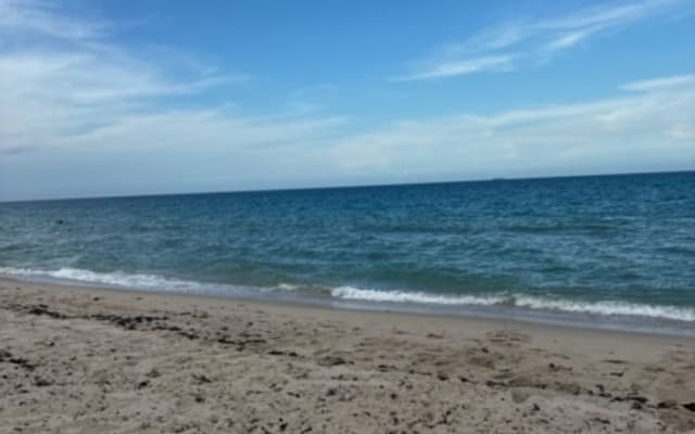 Relaxing,quiet near beach and quick ride to Wilton Manors  - Picture 3
