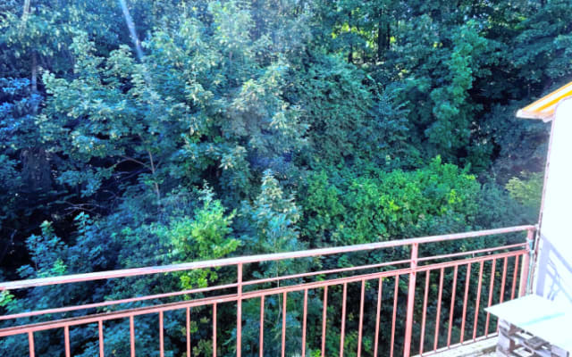 Habitación espaciosa con vistas al bosque.