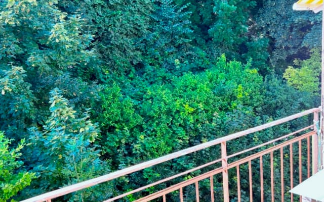 Habitación espaciosa con vistas al bosque.