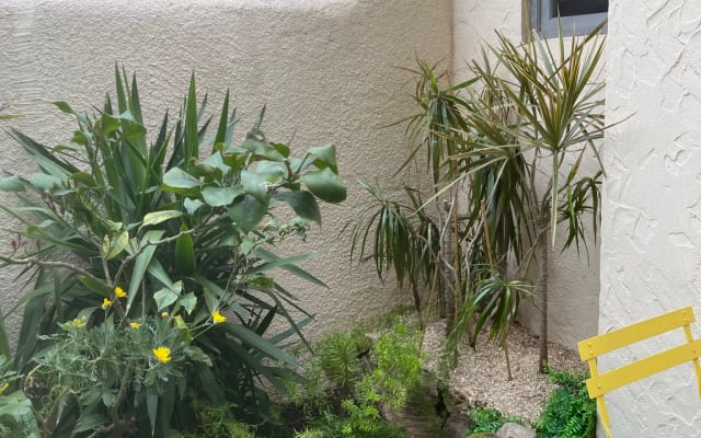 Calme dans un jardin centre ville Cannes
