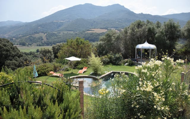 Chambres D'hôtes en Corse du sud Olmeto - Aria condizionata, piscina...