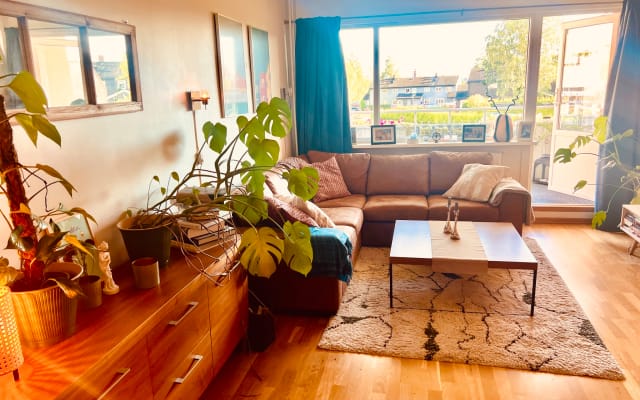 Cosy clothing optional apartment and friendly host in Oslo