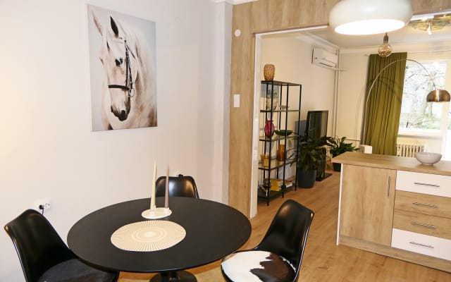 Cozy apartment in the very heart of the city