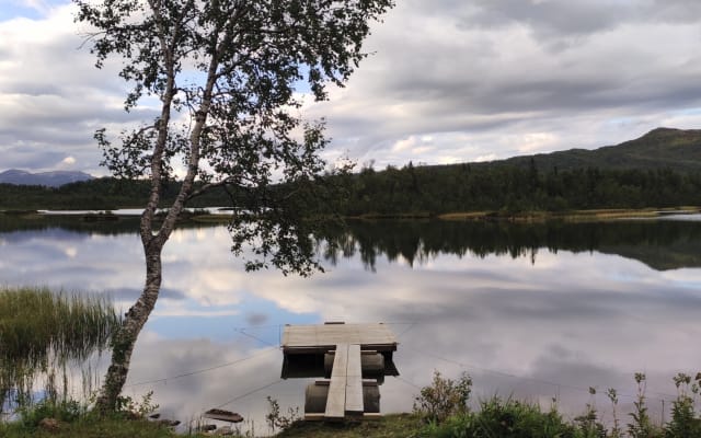 Boys cabin getaway - Picture 19