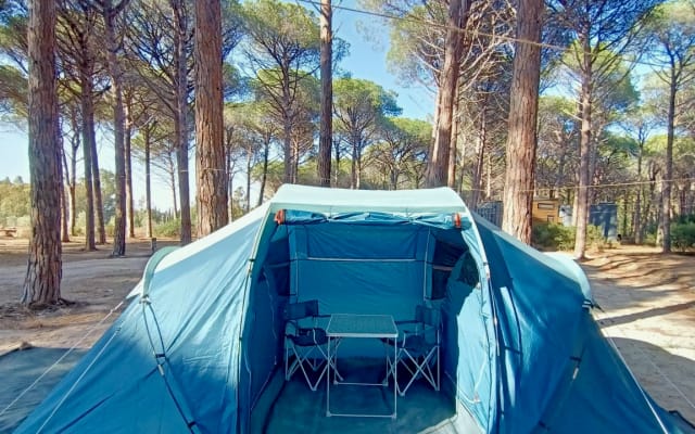 Basecamping Pula
Join us at our relaxed and chill campsite!