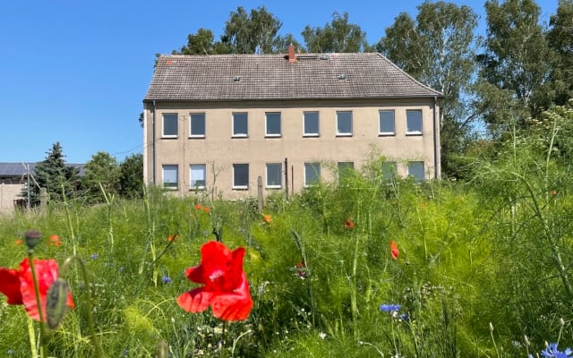 Tiefenentspannung in der Mecklenburgischen Seenplatte - Foto 11
