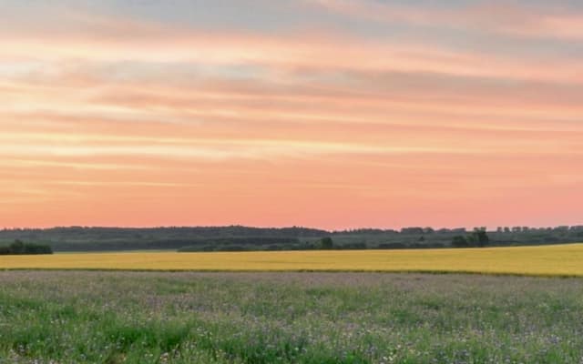 Tiefenentspannung in der Mecklenburgischen Seenplatte - Foto 13