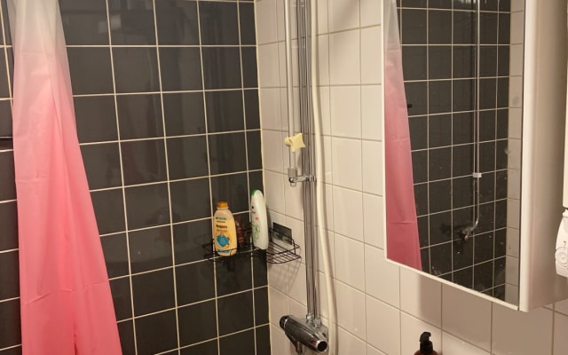 Gemütlicher Stockholm-Urlaub - Pelzige Freunde, Spiele und Entspannung