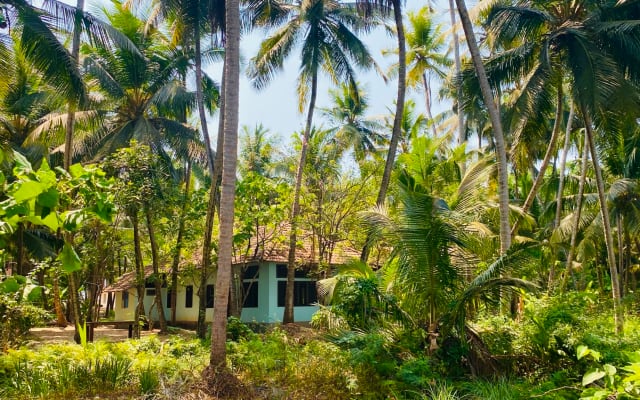 Das Peacock House - Tropischer Rückzugsort auf der Insel