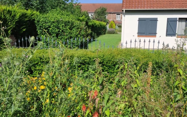 Zimmer im Grünen