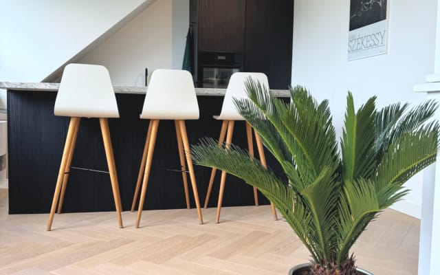 Big top floor apartment in quiet area