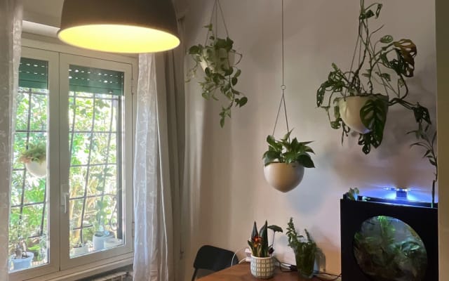 Green House