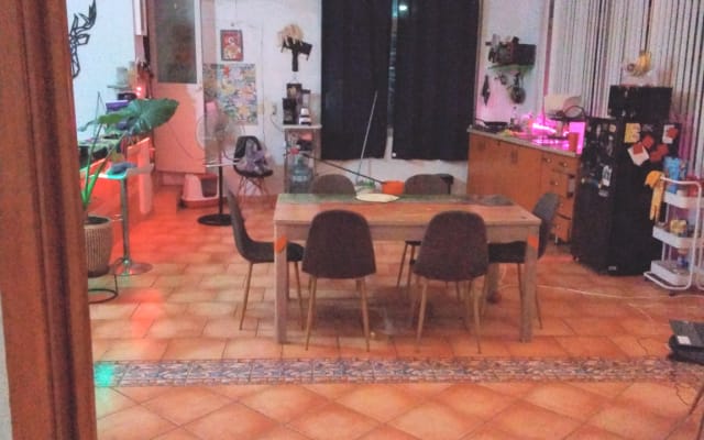 lindo departamento muy centrico y acogedor pet friendly