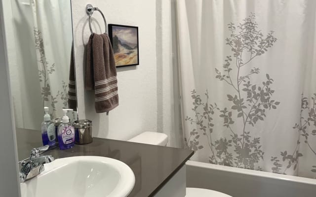 Great Guest Room In the Alamo City - Picture 6
