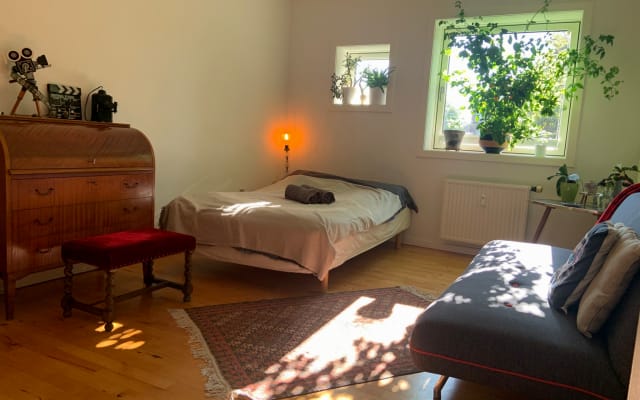 Gemütliches, geräumiges Zimmer im grünsten Teil von Kopenhagen