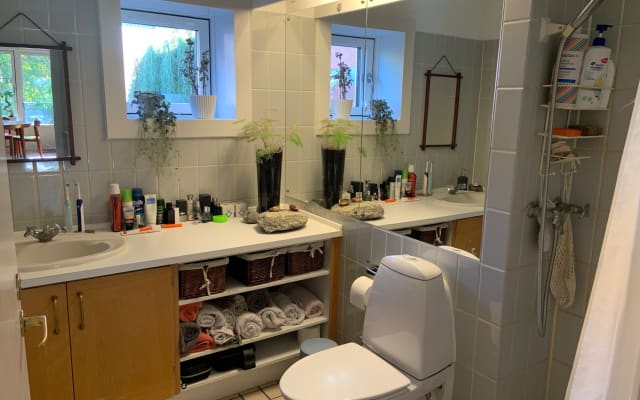 Comfy spacious room in the greenest part of Copenhagen  - Picture 9