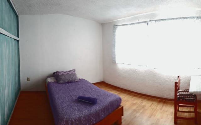 single room historic center 300 Mb