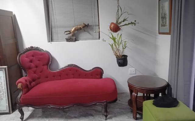  Maison d'hôtes entourée d'une jungle d'orchidées, d'hibiscus et de...