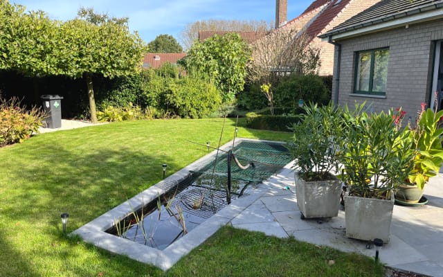 I have a spare room in my house in a quiet street in the countryside