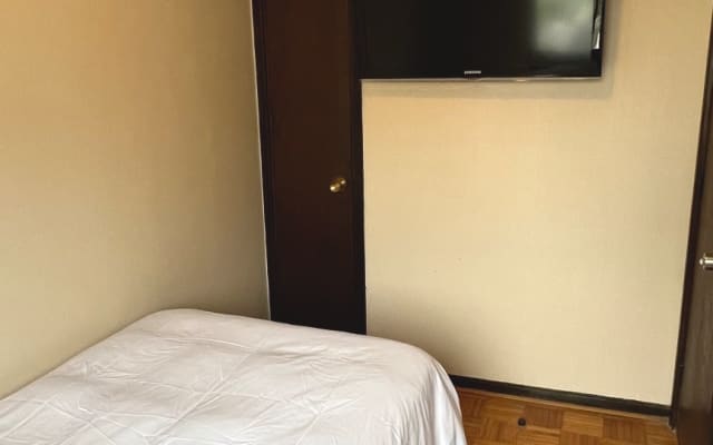 Room in downtown apartment