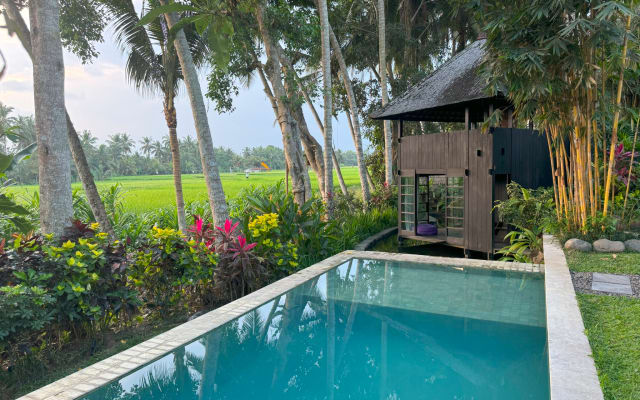 Stunning Balinese Villa Complex