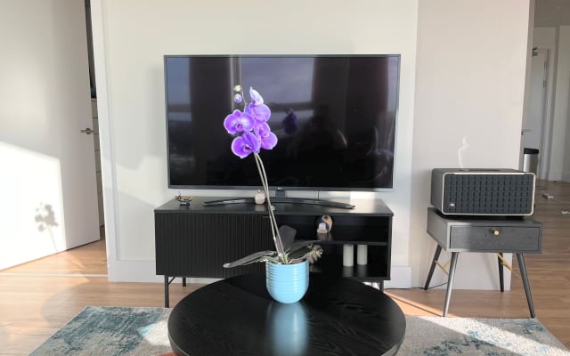  2bedroom APARTMENT in Dublin 8 Next to Guinness storehouse  - Picture 5