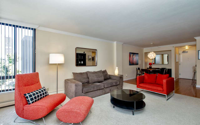 Quiet Spacious SF Downtown Work-From-Home Retreat