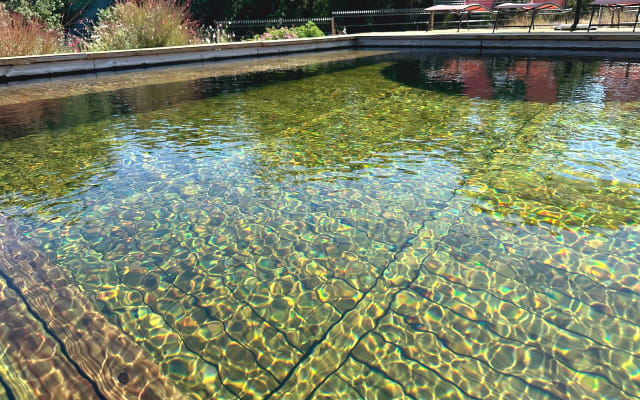 Bed and breakfast with 25m. swimming pool, relaxation pool and spa