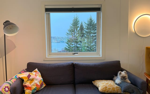 Gästezimmer in unserer gemütlichen Wohnung in der Nähe von Fjellheisen mit 360° Aussicht. - Foto 13