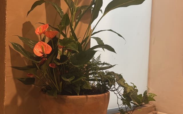 Studio confortevole e piacevole.