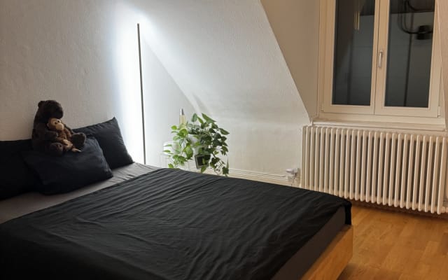 Appartement féodal à Zurich-City