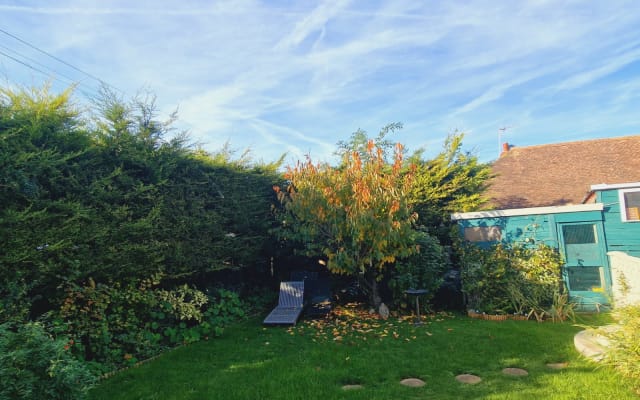 Spacious Boutique Room & Free Parking