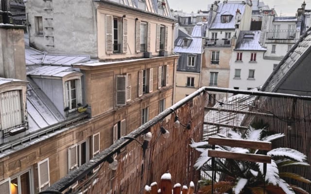 Beautiful apartment with a terrace overlooking Parisian roofs