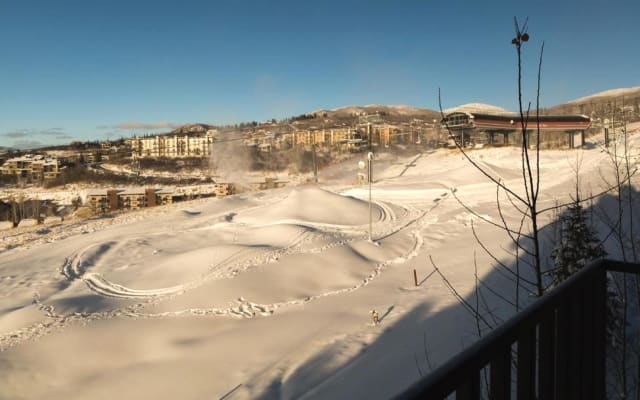 Bear Claw 516 - Ski-in Ski-out Condo !