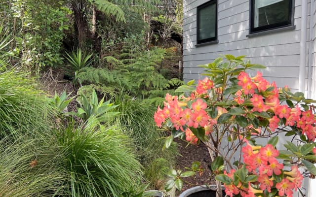 A base perfeita no North Shore de Auckland - Foto 7