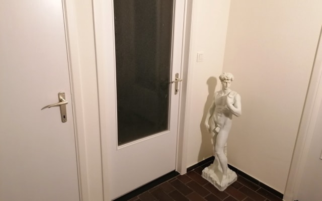 Accogliente appartamento ristrutturato con stanze e camera da letto in comune a Audenaerde
 - Foto 8