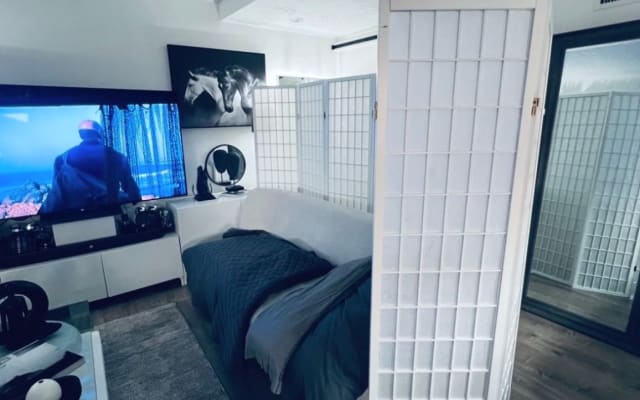 sofa cama  - Dormitorio privado