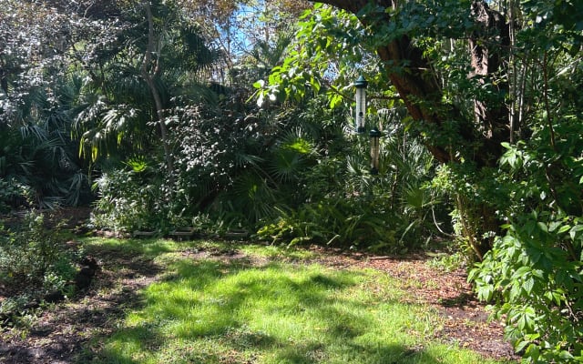 House in Dream Garden