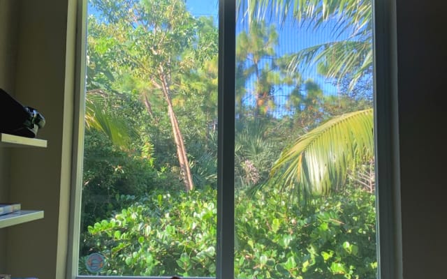 House in Dream Garden