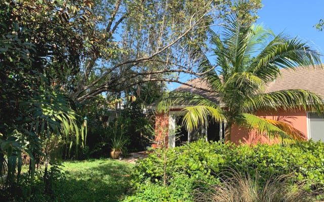 House in Dream Garden